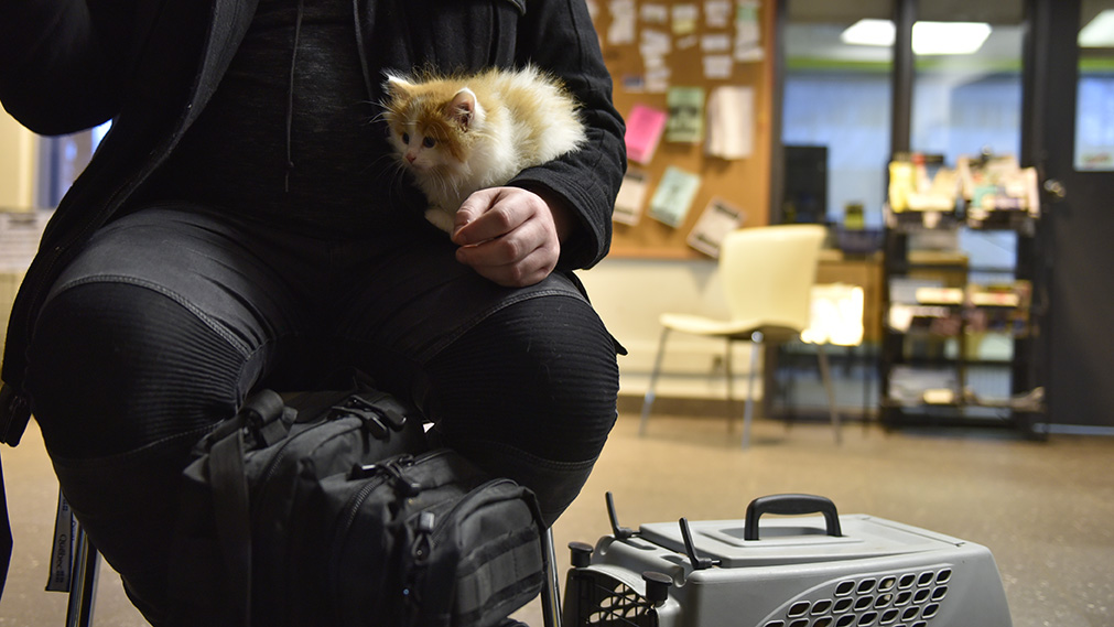 Des soins pour les animaux des jeunes marginalisés