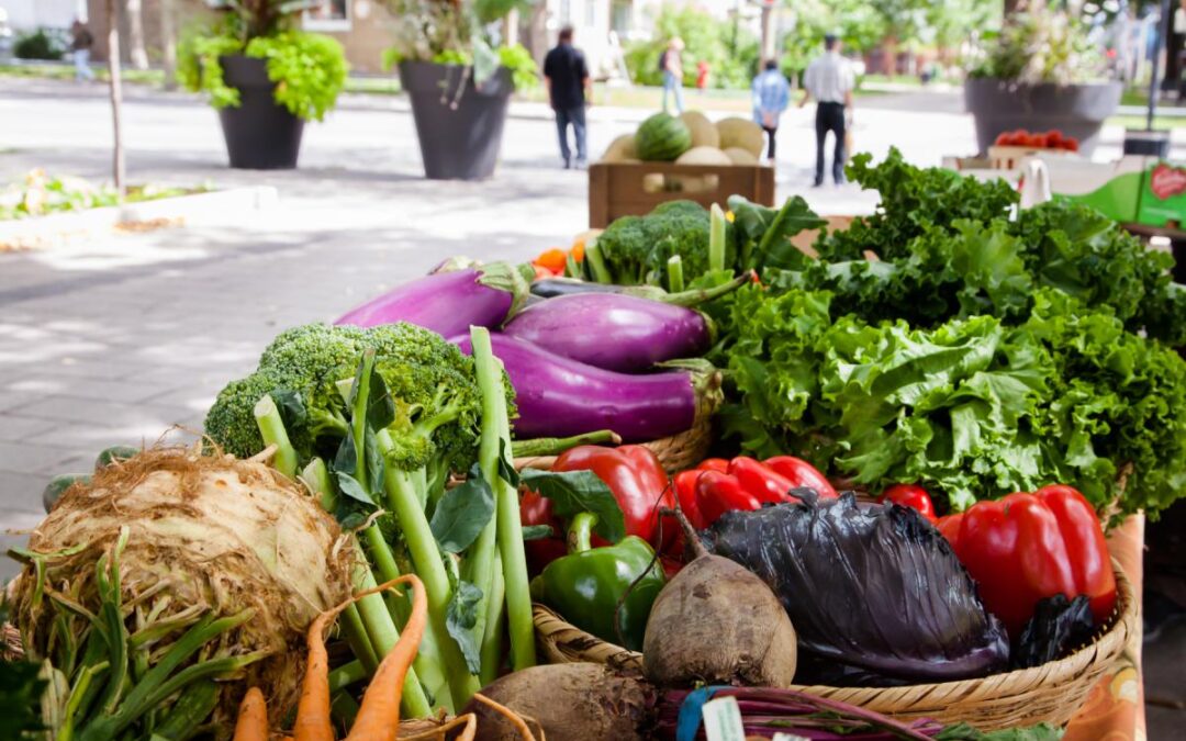 Agriculture urbaine : Une serre communautaire en plein cœur de Montréal