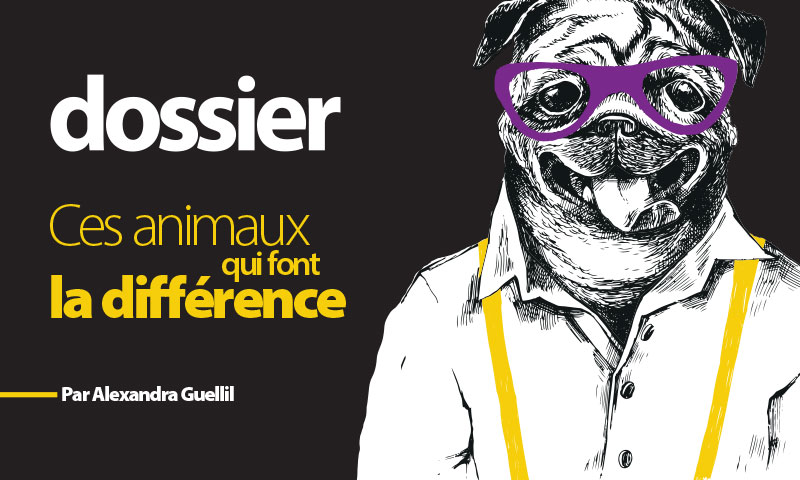 Ces animaux qui font la différence