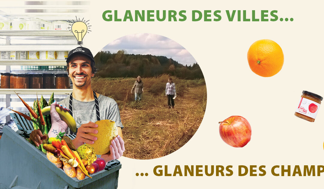 Glaneurs des villes… glaneurs des champs