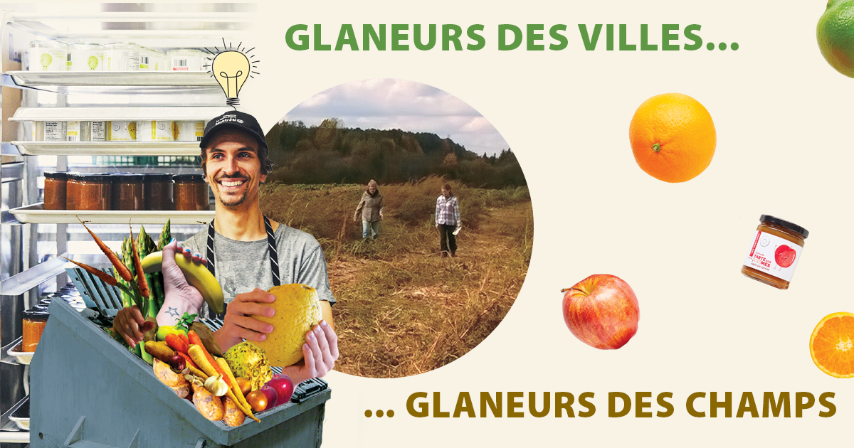 Glaneurs des villes... glaneurs des champs