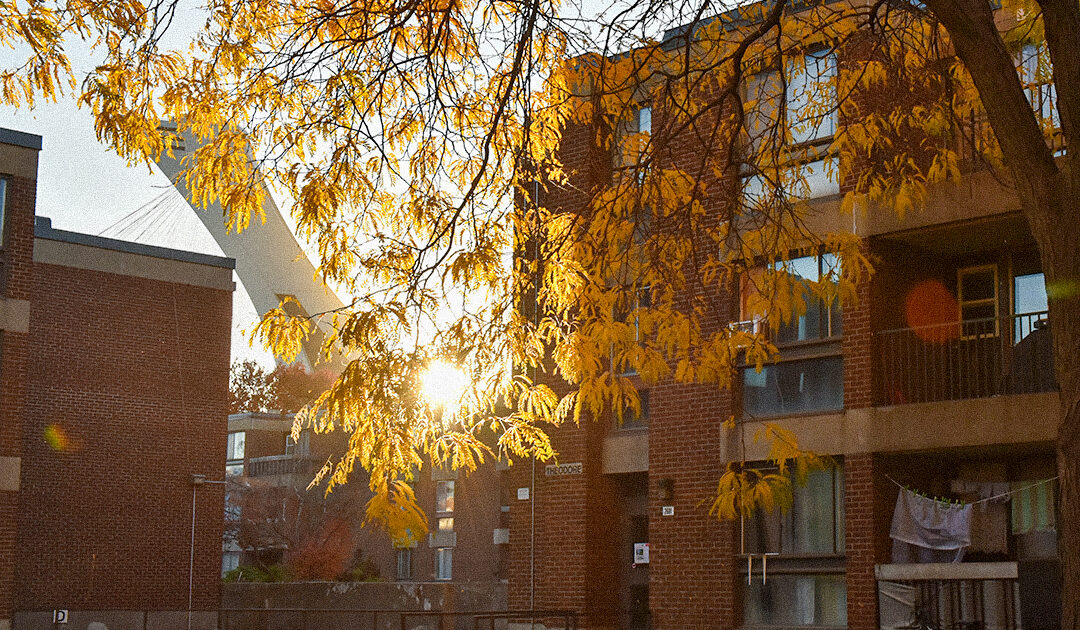 Bienveillance et résilience dans le hood
