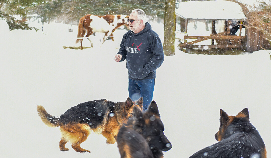 Chiens au cinéma