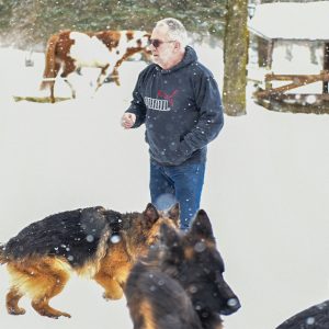 Alain Chiocchi et ses chiens