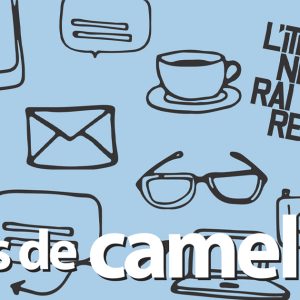 Mot de camelots