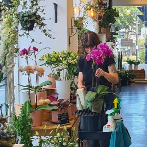 La boutique Dames d'Alcantara