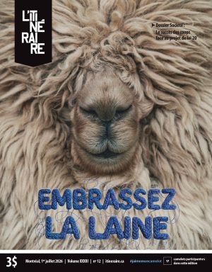 Embrassez la laine